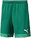 PUMA Cup Shorts JR (Green, Small)