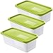 Produktbild Rotho Domino 3er Set Gefrierdosen 1.2l mit Deckel, Kunststoff (PP) BPA-frei, grün/transparent, 3 x 1,2l