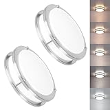 2 Pack Brushed Nickel Ceiling Light, 10 Inch LED Ceiling Light Fixture for Bathroom,17W, 2700K/3000K/3500K/4000K/5000K Adjustable Ceiling Lighting for Bedroom Kitchen Hallway Living Room