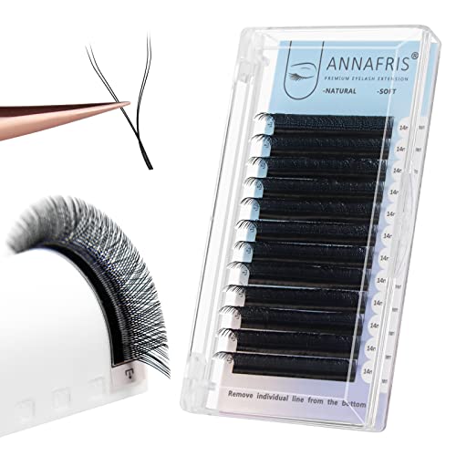 ANNAFRIS YY Lash Extensions D Curl 0.07 Mix 8-15mm Pre Made Fan 2D 4D Y-Shape Eyelash Russian Volume Individual Lash Cluster Wispies Crisscross Eyelash（D,0.07,8-15mm)