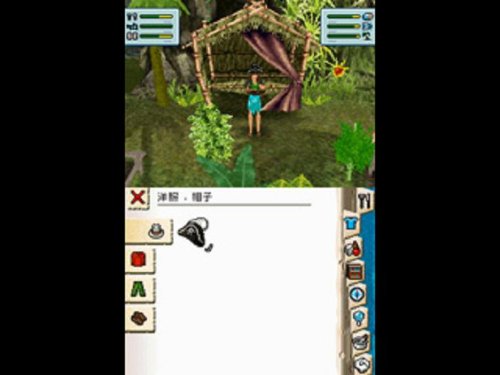 ザ・シムズ2 サバイバルの関連画像2