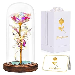 Tongtai Valentine’s Day Gifts for Her, Valentines Anniversary Birthday Wedding Gifts for Women Her Girlfriend Wife Mom…