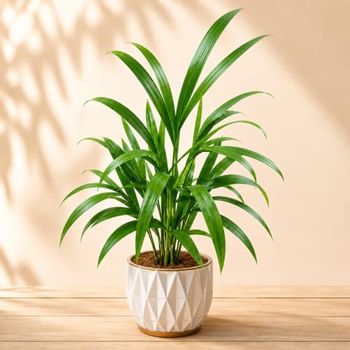 15 Artificial Plant Decorating Ideas 16 Areca Palm Live Indoor Plant with Pot (9 Cuttings) | Natural Air ...