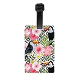 Etiquetas de equipaje con nombre Etiquetas de tarjeta de identificación Pájaros y flores gigantes tropicales Etiqueta de equipaje de personalidad para equipaje de viaje Bolsa Maleta Accesorios de via