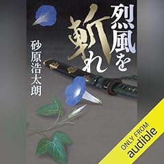 『烈風を斬れ』のカバーアート