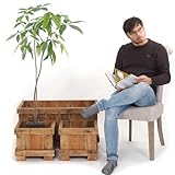 Zoom IMG-2 design delights set di 3 Zoom IMG-2 design delights set di 3