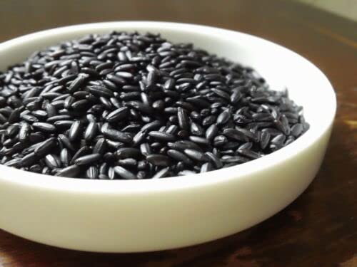 20 graines de RIZ Noir (Oryza Sativa) H373 Forbidden Black Rice Seeds SAMEN SEMI