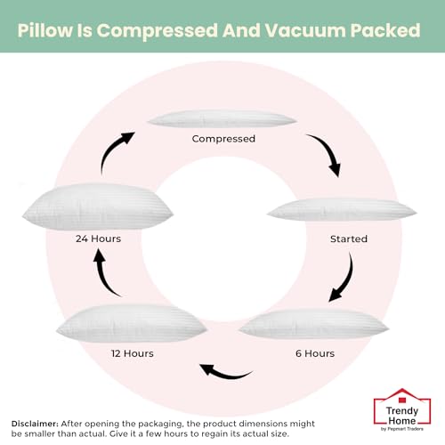 Trendy-Home-24×24-Throw-Pillow-Insert-Set-of-2-White-Bed-and-Couch-Pillows-Stuffer-Hypoallergenic-Decorative-Home-Indoor-Outdoor-Sofa-Pillow-Filler-Machine-Wash-2-Pack Trendy Home 24×24 Throw Pillow Insert Set of 2 White Bed and Couch Pillows Stuffer Hypoallergenic Decorative Home Indoor Outdoor Sofa Pillow Filler Machine Wash 2 Pack