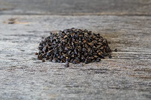 Hale Habitat & Seed Buckwheat Food Plot Seed, 5 lbs