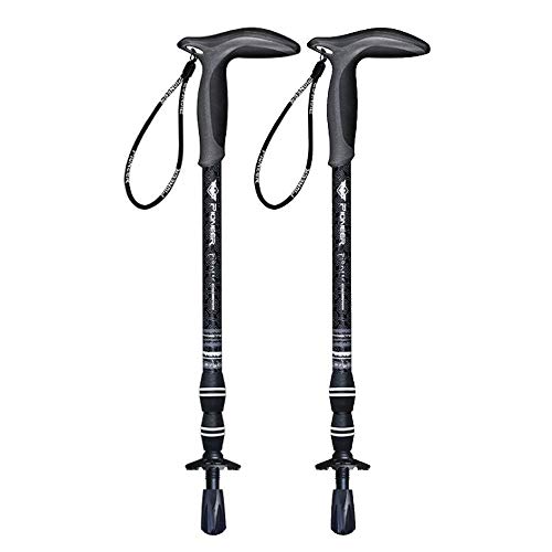 gbLO|[ 2{Zbg J[{ y190g TObv  Lk RpNg oR EH[LO (ubN)