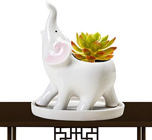 Abomet Succulent Planter Pots,Ceramic Elephant Planters Pot,Cute Planters with Drainage Tray,Small Flower Pot for Mini Elephant Plant Live,Used for Home Office Decor