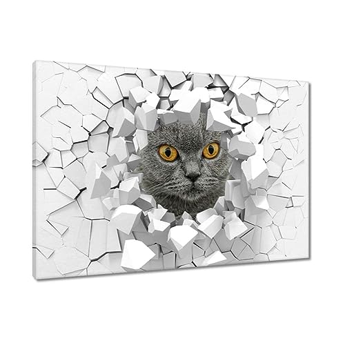 Toile British shorthair cat 120x80cm pour sublimer votre salon moderne