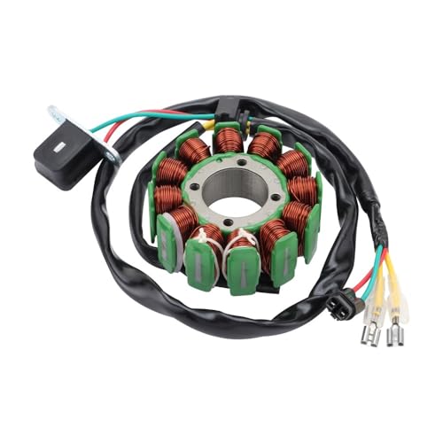 Bobina de estator ideal para rutas de enduro exigentes en motos de 350cc