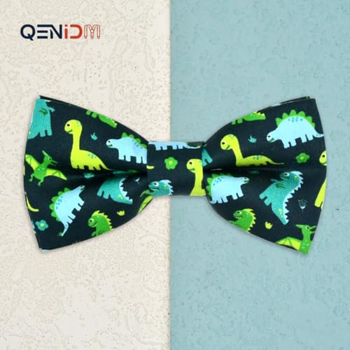 Dinosaur Boy Bow3