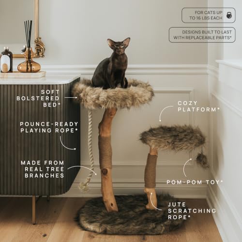 Image of Mau - Modern Wood Cat Tree Tower, Real Branch Scratching Post, Cat Condo