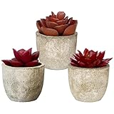 3 Artificial Succulents Plants Artificial Pot Small Fake Plants Bedroom Aesthetic Fake Succulent Pla