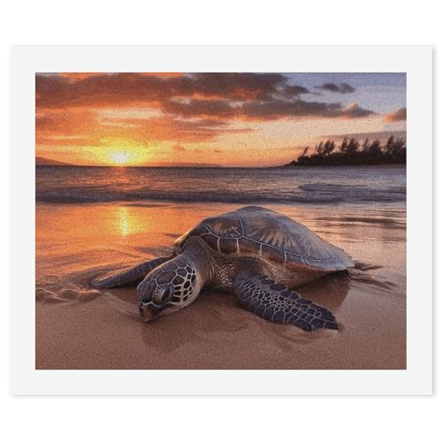 Peinture par numéros adulte tortue de mer pour décorer votre salon