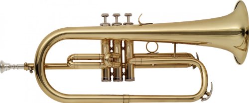 Stagg WS-FH215 Bb Flugelhorn with Case