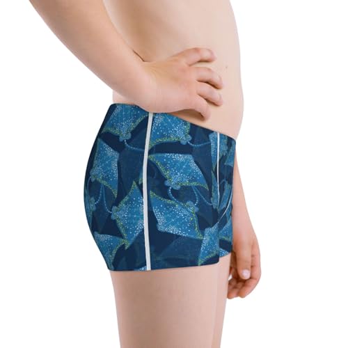 Boys' Cotton Boxer Brief Soft Underwear-Stingray2