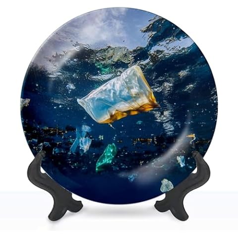 DISAOODANK 8" Decorative Ceramic Plate Cover
