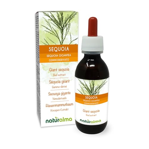 Riesenmammutbaum (Sequoia gigantea oder Sequoiadendron giganteum) Alkoholfrei Knospen-Extrakt aus frishen knospen Naturalma - Flüssig-Extrakt Tropfen 120 ml - Nahrungsergänzungsmittel - Veganer