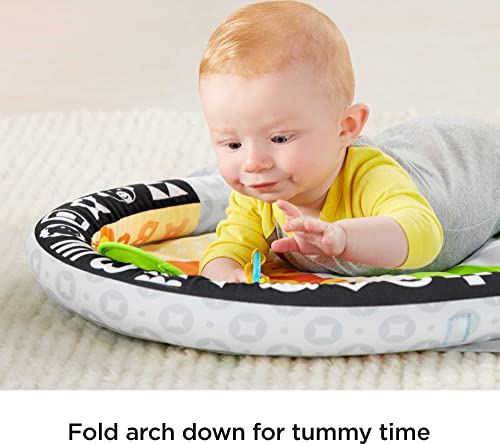 Fisher-Price 2-In-1 Flip & Fun Activity Gym, Baby Play Mat With Arch #TOP2