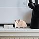 BESPORTBLE Rodipet Ecktoilette 2 Stück Hamster Futternapf Dreieckig Keramiknapf Futternapf Hamster Trinknapf Hamsternapf Futterspender Futterbecken Heimtierbedarf