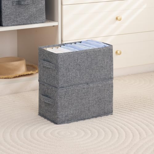 Image of HOKIPO Fabric Storage Boxes for Clothes Wardrobe Organizer | Storage Bins for Wardrobe Fabric Organizers with Handle, Small, Pack of 2 - Grey (AR-6683-GRY*2)