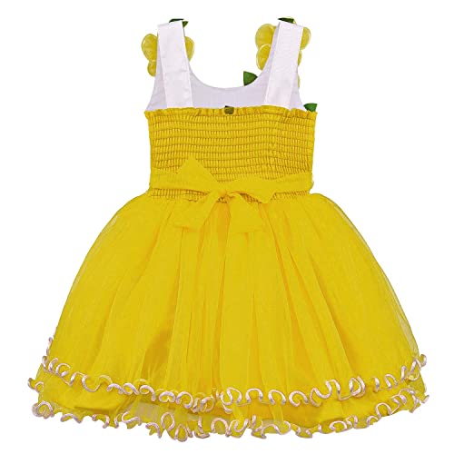 Image of Wish Karo Baby girl Knee Length Frock Dress