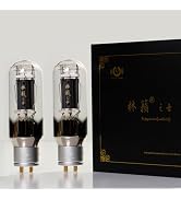 Amazon.co.jp: LINLAI 300B 1ペア 真空 Hifi バルブ 電子管 クラスペア