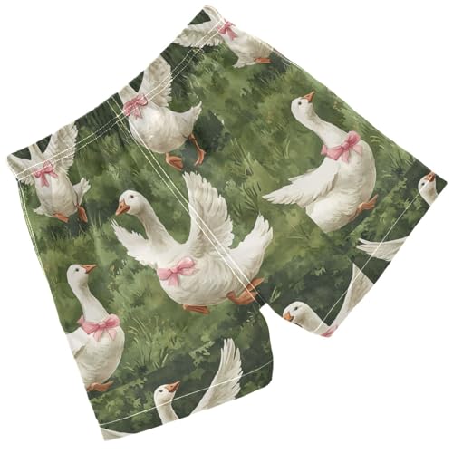 Pigsaly Boys' Swim Board Shorts Watercolor White Goose Pink Bows Boy's Swim Trunks Kids Swimwear 4T2