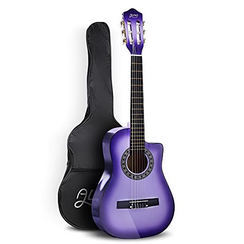 nylon string guitars