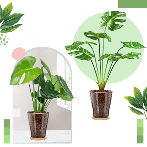 Baderke LE-BADERKE-883 Glass Orchid Pots With Holes And Bamboo Tray Glass Pot Water Level Control Semi Hydroponic Transparent Root Transparent Indoor Orchid Planter thumb #3