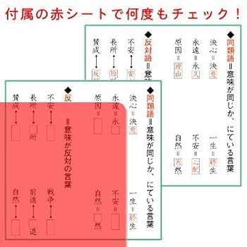 希少・未記入　言葉の学び　コトノハ　基礎編・発展編　セット 希少・未記入 言葉の学び コトノハ 基礎編・発展編 セット 2025