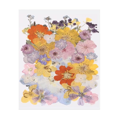 48 Piezas Flores Secas Prensadas Para Manualidades DIY miniatura 1