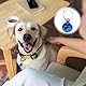 Bruislard Hundehalsbandglocken Anhänger Haustierzubehör Hund 25 Stück Metallglöckchen Glocke Haustier Katzen Glocken für Hunde Halsband Dekor DIY kleine Glocken Festival Party