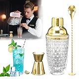 Quystetes Coctelera de 400 Ml, Mezcladora de Cócteles, Coctelera de Acero Inoxidable - Coctelera de Vidrio con Tejido