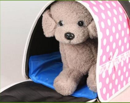 DZL Tappetino rinfrescante per cani e animali