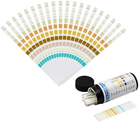 Urine Test Strips 100 Strips URS-10T Urinalysis Reagent Strips 10 Parameters Urine Test Strip