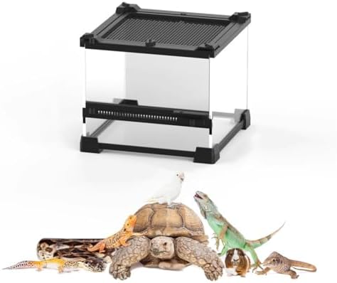 Reptile Terrarium Tank for Bearded Dragons, Ball Pythons, & Amphibians - Ideal Habitat for Leopard Geckos, Frogs, Hermit Crabs, Lizards, Isopods, Tarantulas, Turtles (30x20x20cm)