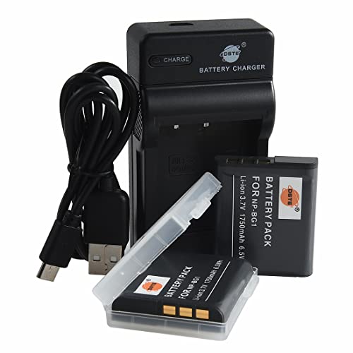 Batterie NP-BG1 de rechange en voyage pour appareil photo Sony DSC-HX20V