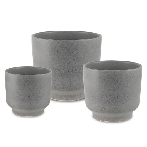 Encuentra macetas exterior marca casa litus, en la categoría de macetas. Macetas exterior Marca Casa Litus 2