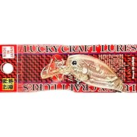 Amazon.co.jp: ラッキークラフト (LUCKY CRAFT) マグナム クラピー