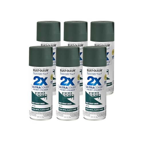 Rust-Oleum 342062-6PK Painter's Touch 2X Ultra Cover Spray Paint, 12