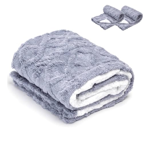 Nobleza 2 Piezas Manta Impermeable para Perros, Manta Suave de Felpa para Perros Miniatura y Pequeños Gatos, M 100 x 75 cm, Reversible, Protección de Sofá, Lavable a Máquina, Azul Claro