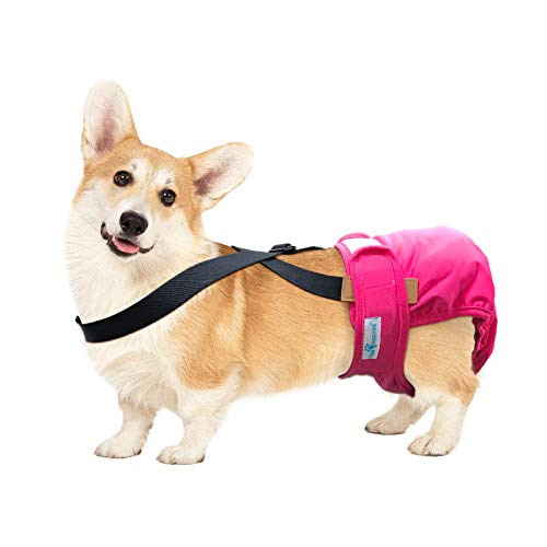 Image of Paw Inspired Dog Diaper Suspenders with Velcro Fasteners | Stretchy Adjustable Suspenders for Female and Male Disposable and Washable Diapers | Fits Small, Medium and Large Size Pets (M /L, Black)