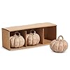   Raz-Imports-Box-of-Natural-Pumpkins-Figurine-Set-of-3-35-inch-Height-Resin-Thanksgiving-Season-Decoration