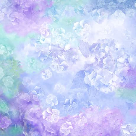HYDRANGEA BLOOMS