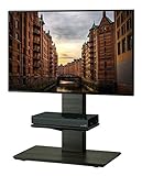 ハヤミ TIMEZ(タイメッツ)壁寄せテレビスタンド ~55v型対応 高さ調節可能 キャスター付 KF-950 ブラック