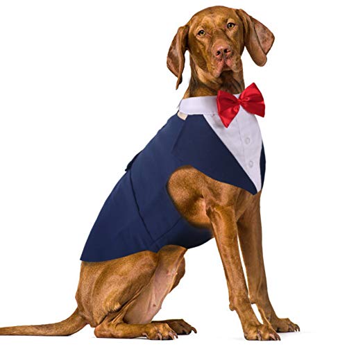 IDOMIK �h�b�O�^�L�V�[�h ������^���p�A���O���\�Ȍ��p�t�H�[�}���E�F�f�B���O�X�[�c�A�^�L�V�[�h�x�X�g&���l�N�^�C��&�o���_�i�X�J�[�t�Z�b�g�A�a�����p�[�e�B�[�R�X�`���[���p�E�F�f�B���O�ߑ��V���c